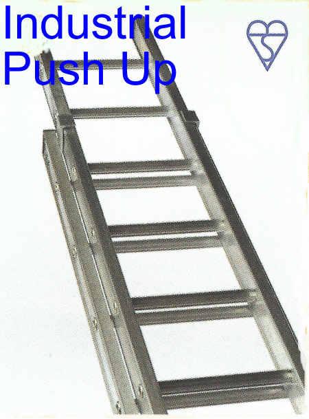 Click Here To See The New Industrial Ladders