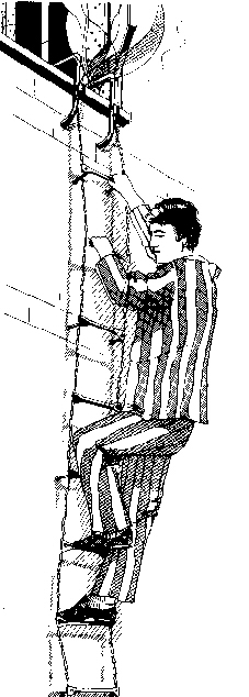 Picture of Rescue Ladder